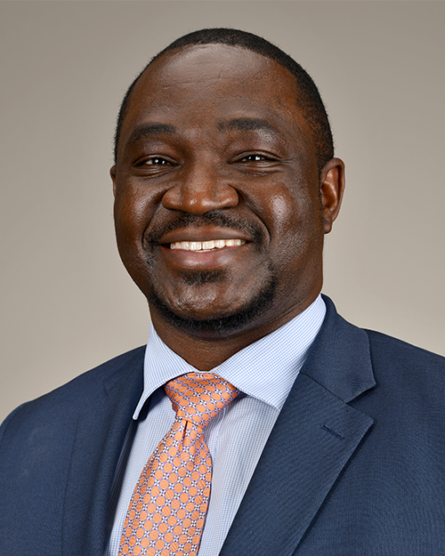 Ore-Ofe O. Adesina Doctor in Houston, Texas