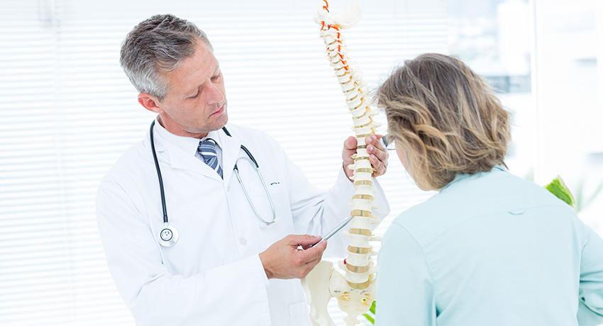 Doctor demonstrating a spine model to a female patient