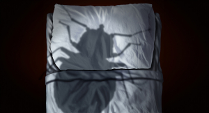 Abstract art of a large bed bug shadow castings on a bed